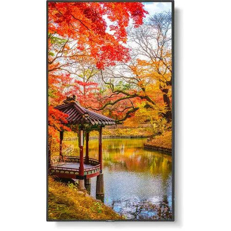 Sharp MA551-MPI4E 55" 4K Commercial Display with NEC Media Player and Raspberry Pi Sharp USA