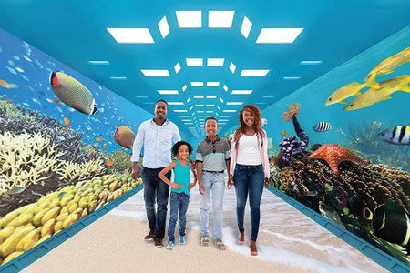 Epson ELPLX01S Black Ultra Short Throw Lens Epson