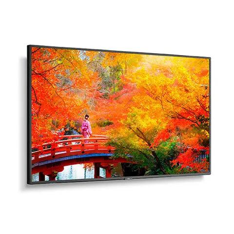 NEC/SHARP MA491 Wide Color Gamut UHD Professional Display Sharp USA