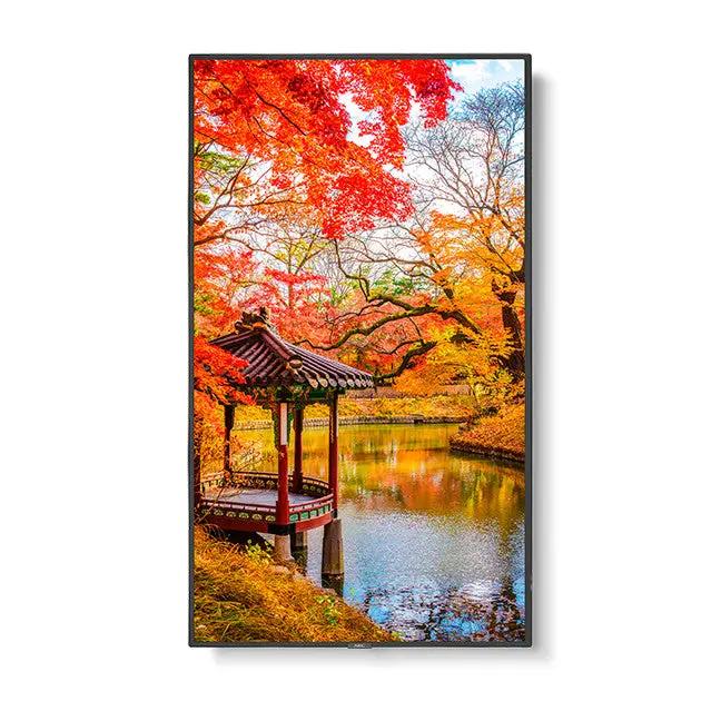 NEC/SHARP MA551 Wide Color Gamut UHD Professional Display Sharp USA