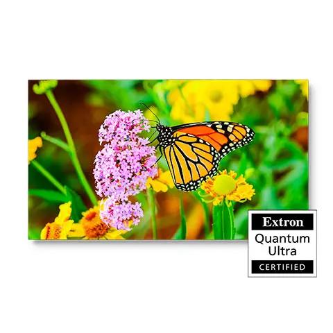 NEC PN-UN552S 55" Ultra-Narrow Bezel Professional Display Sharp USA