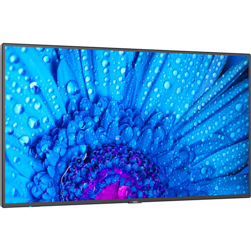 NEC M431-2 43" UHD 4K Commercial Monitor