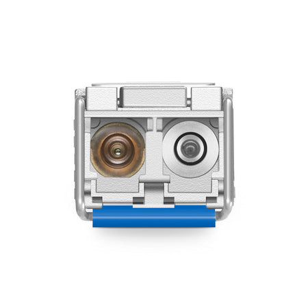 https://cdn.shopify.com/s/files/1/0712/9409/1574/files/20230327164045dxb5yb.jpg?v=1721746501