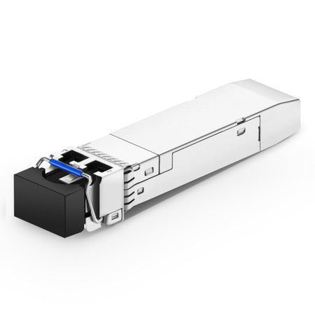 https://cdn.shopify.com/s/files/1/0712/9409/1574/files/20230801180953vb6hvk.jpg?v=1722534370