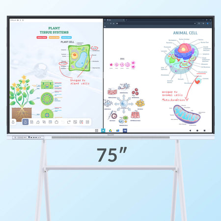 Nework NewBoard E-Series 4K Interactive Commercial Display