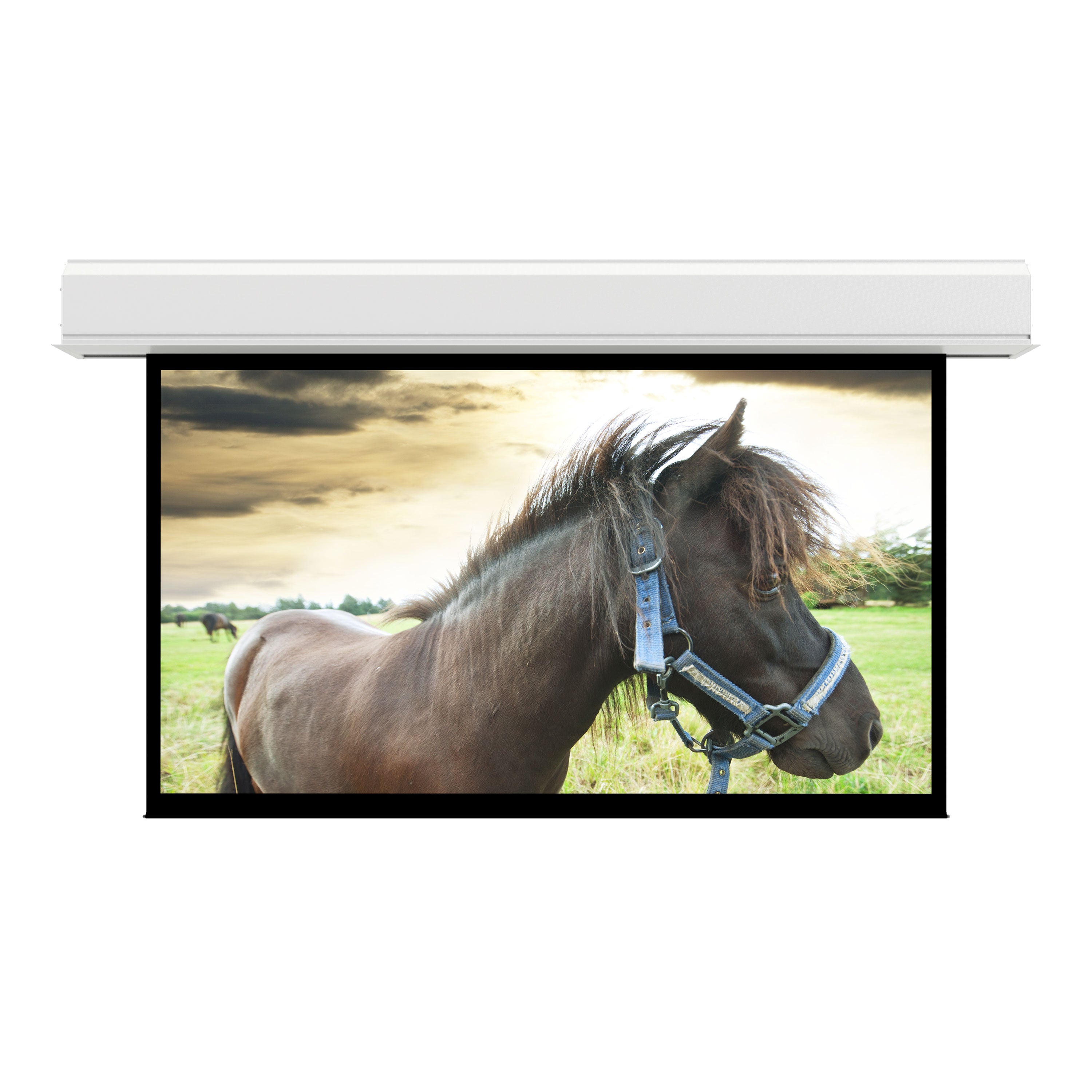 https://res.cloudinary.com/avd/image/upload/v1643820207/Product%20Images/Da-Lite/Screens/Advantage_Large_Electrol-SC.jpg