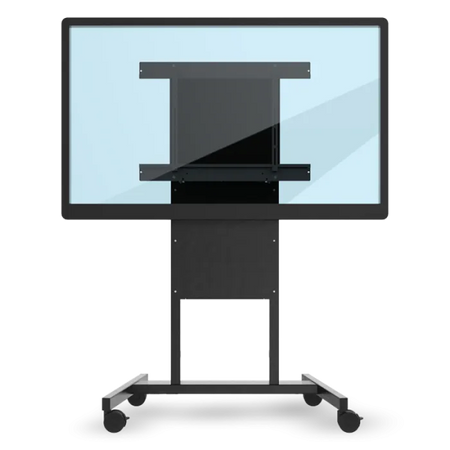 https://cdn.shopify.com/s/files/1/0603/7982/4364/files/CN_VB-BLM-003.webp?v=1762569130
