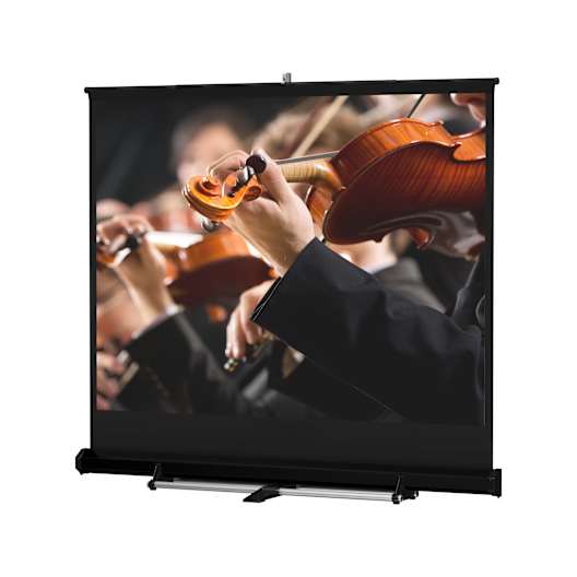https://res.cloudinary.com/avd/image/upload/ar_1:1,w_528,c_fill,f_auto,q_auto/v134126712/Product%20Images/Da-Lite/Screens/Floor_Model_C_2.jpg