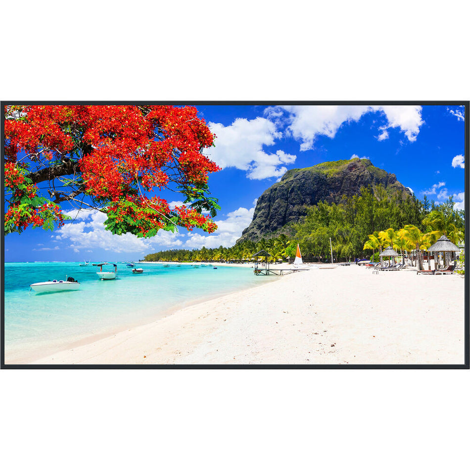 Panasonic TH-86SQ2HW Series 86" UHD 4K Commercial Monitor