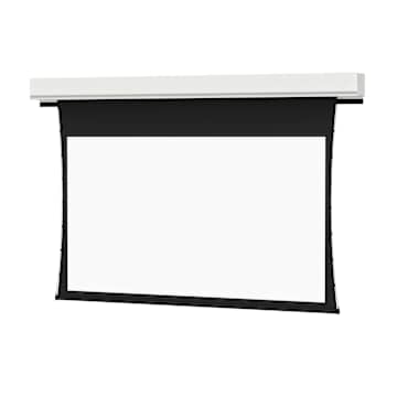 https://res.cloudinary.com/avd/image/upload/ar_1:1,w_360,c_fill,f_auto,q_auto/v134172504/Product%20Images/Da-Lite/Screens/TensionedAdvantageDeluxe1.jpg