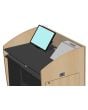 PLM1022 Podium LCD Monitor Mount for 10-24 Inch Screens