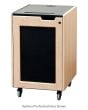AVFI REX16 Executive Mobile Rack Enclosure