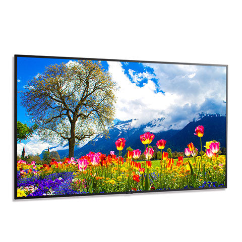 Sharp M981 98" Ultra High Definition Display