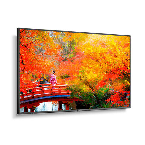 NEC/SHARP MA551 Wide Color Gamut UHD Professional Display