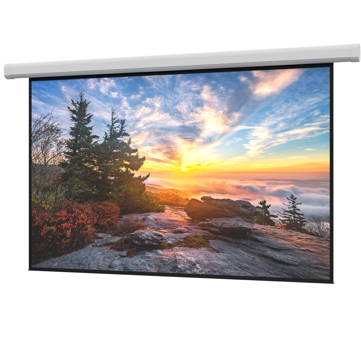 DaLite DL100199L Myriad Reveal Electric Screen