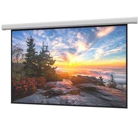 DaLite DL100199L Myriad Reveal Electric Screen