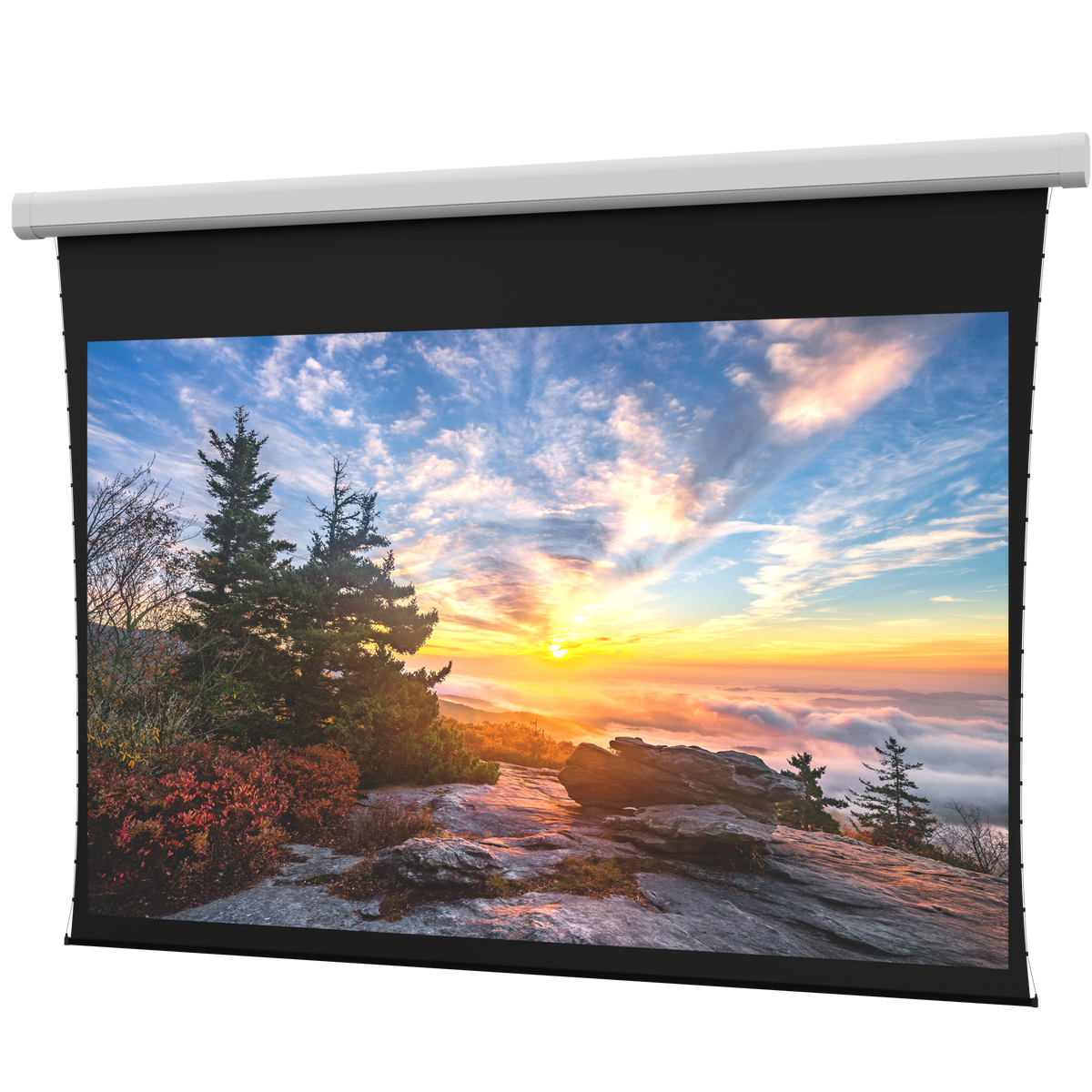 DaLite DL100104L 94.5 x 168 in Myriad Reveal Electric Screen