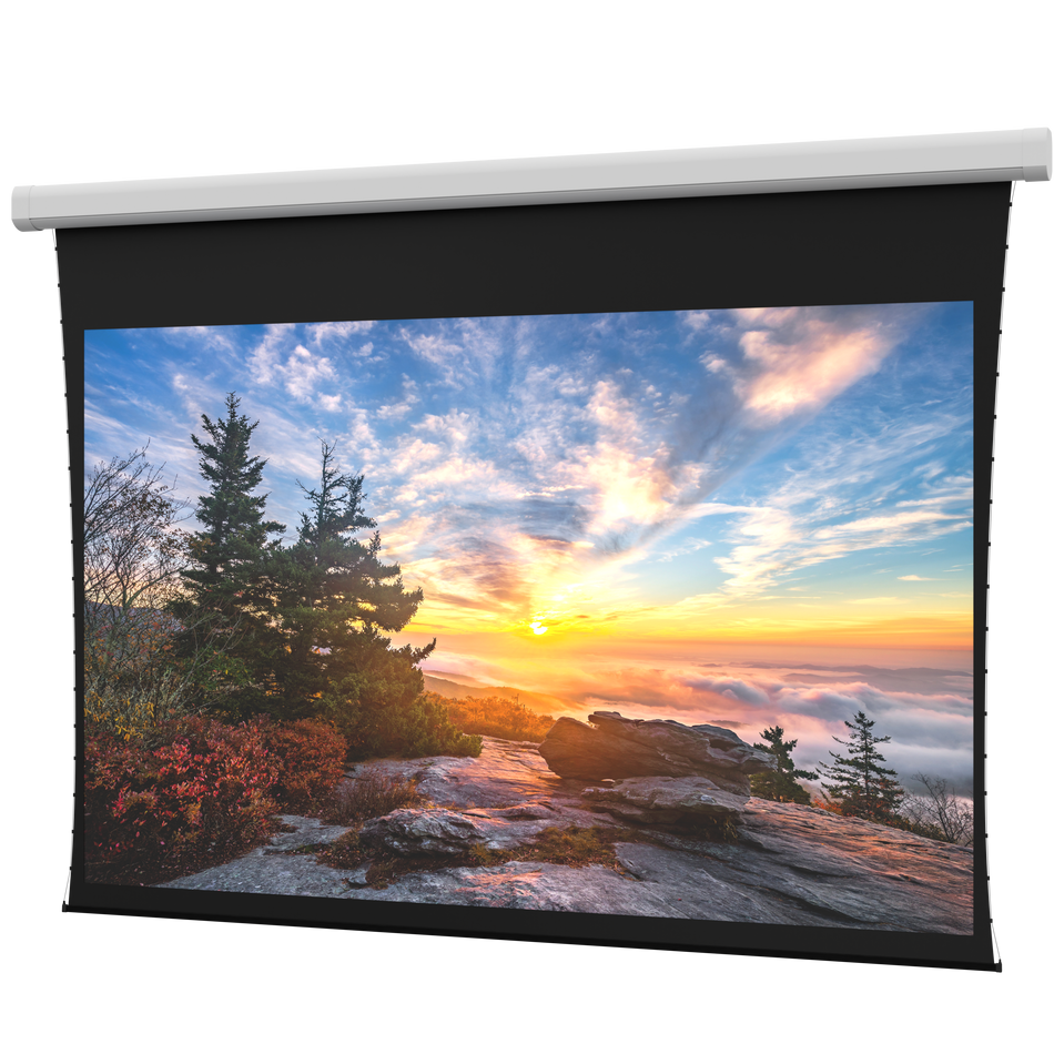 DaLite DL100143L Myriad Reveal Electric Screen