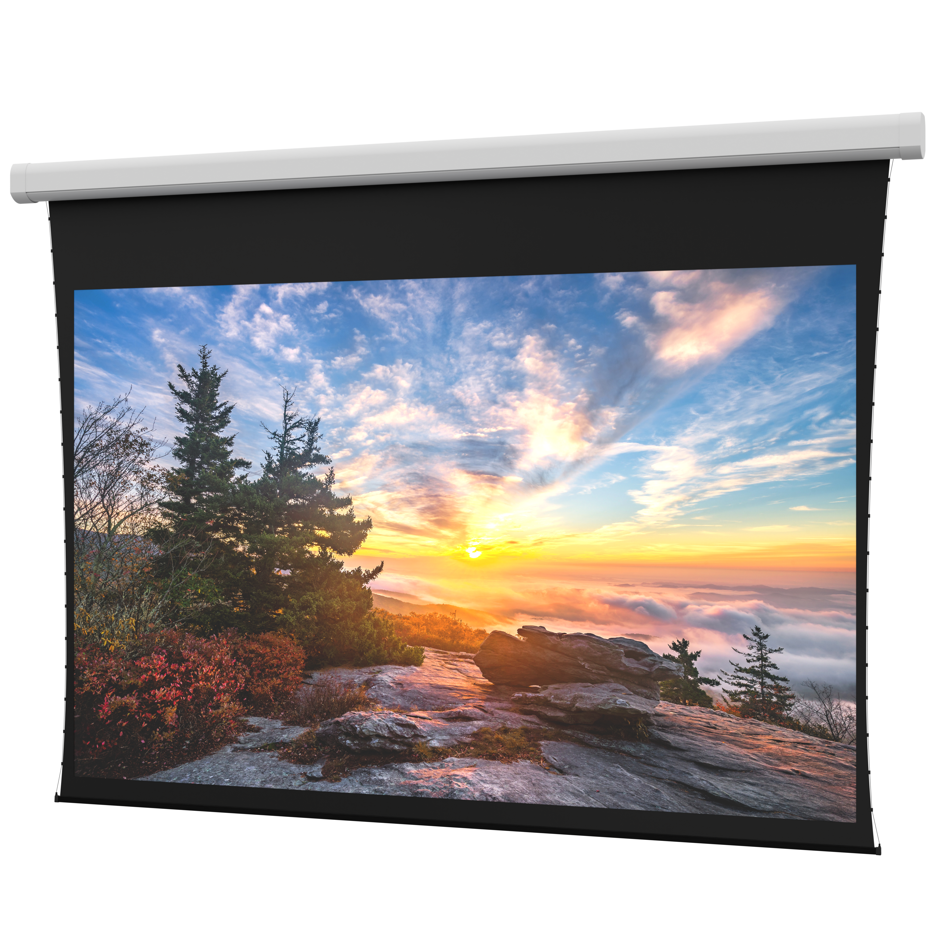 DaLite DL100128L Myriad Reveal Electric Screen