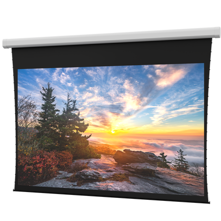 DaLite DL100112L Myriad Reveal Electric Screen