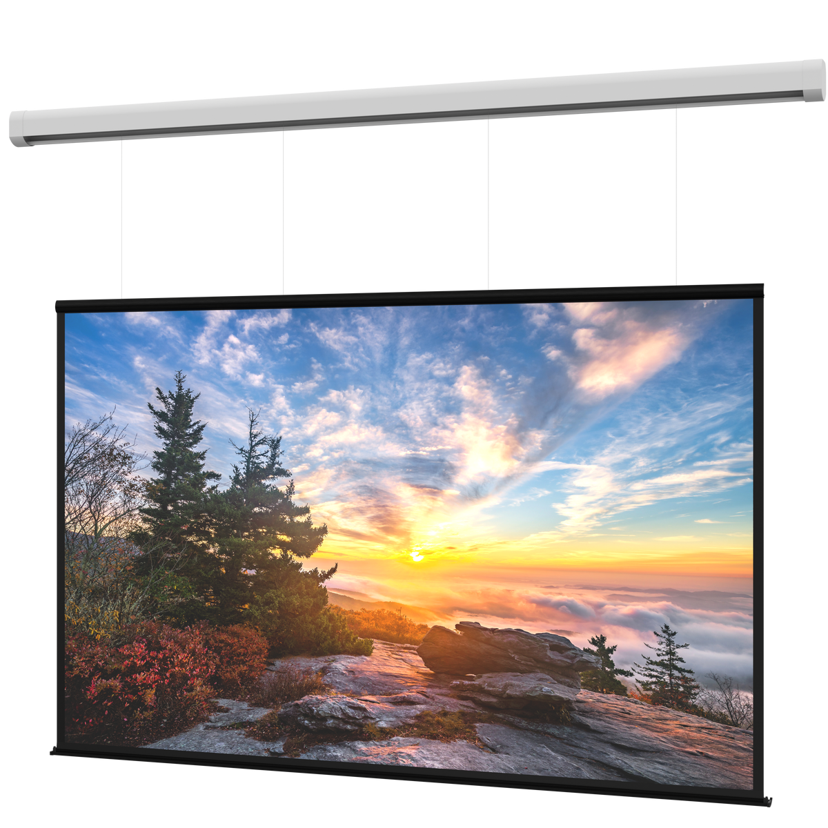 DaLite DL100203L Myriad Reveal Electric Screen
