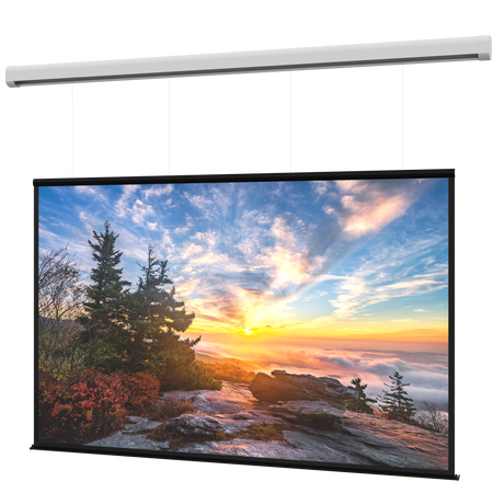 DaLite DL100203L Myriad Reveal Electric Screen