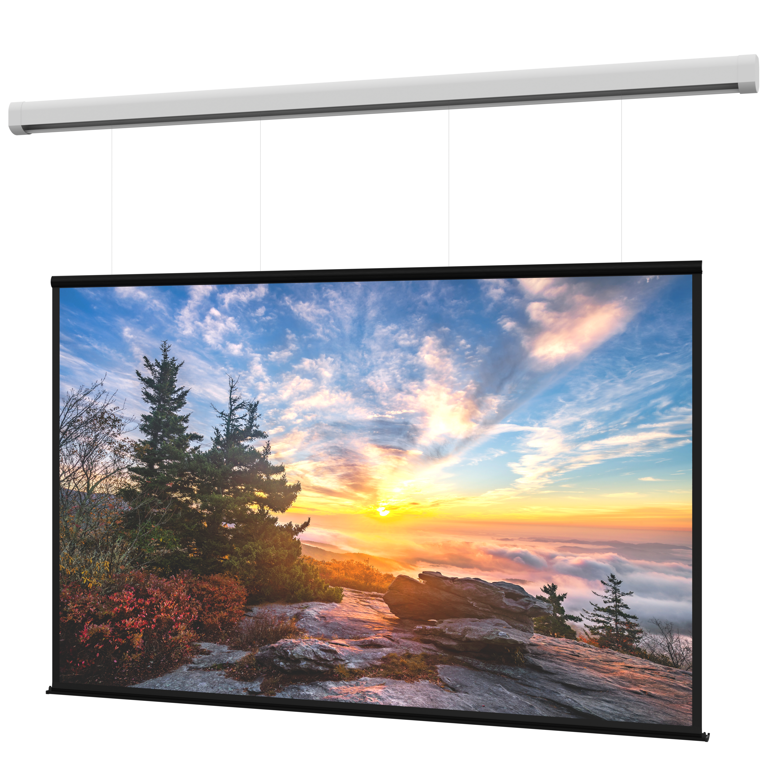 DaLite DL100206L Myriad Reveal Electric Screen