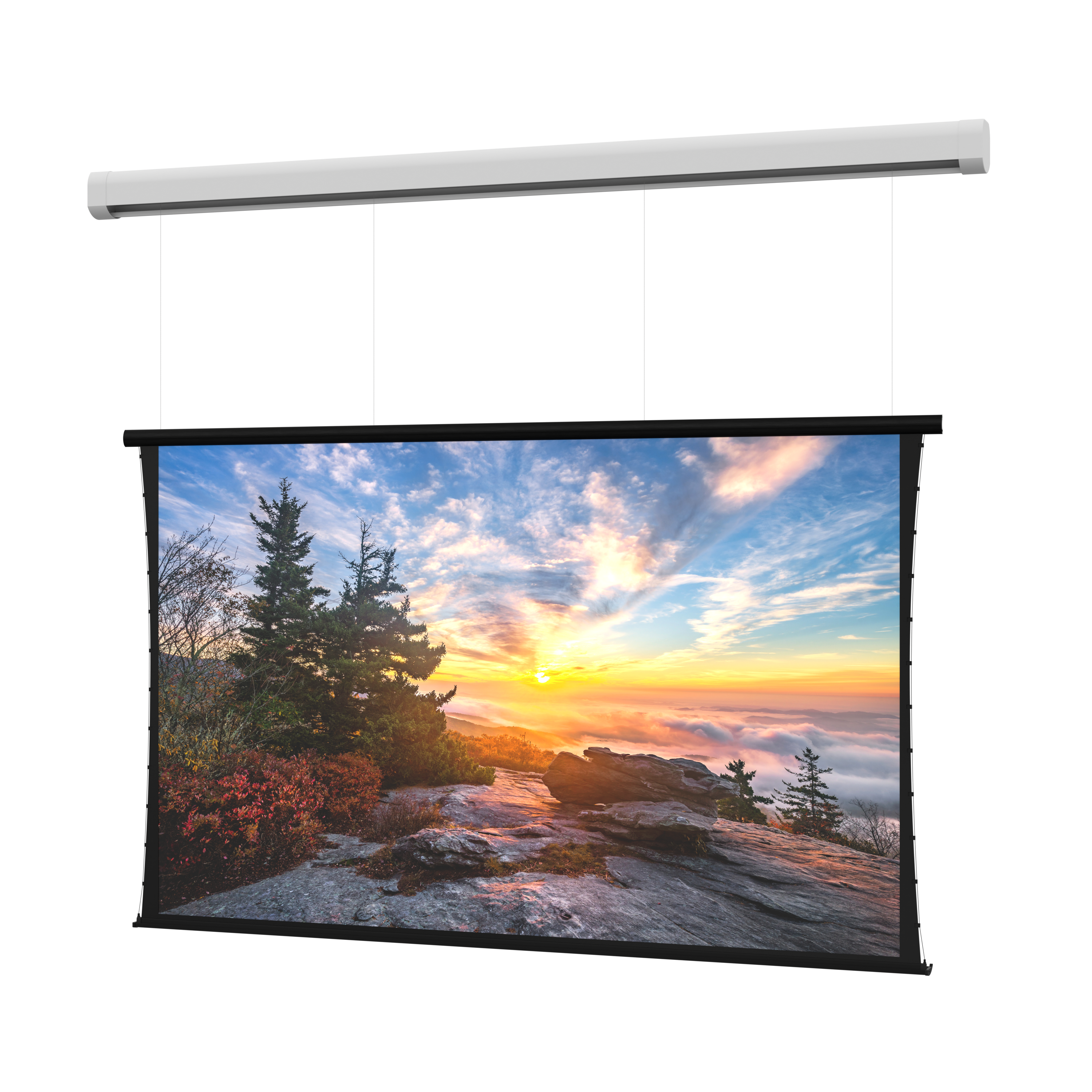 DaLite DL100154L Myriad Reveal Electric Screen