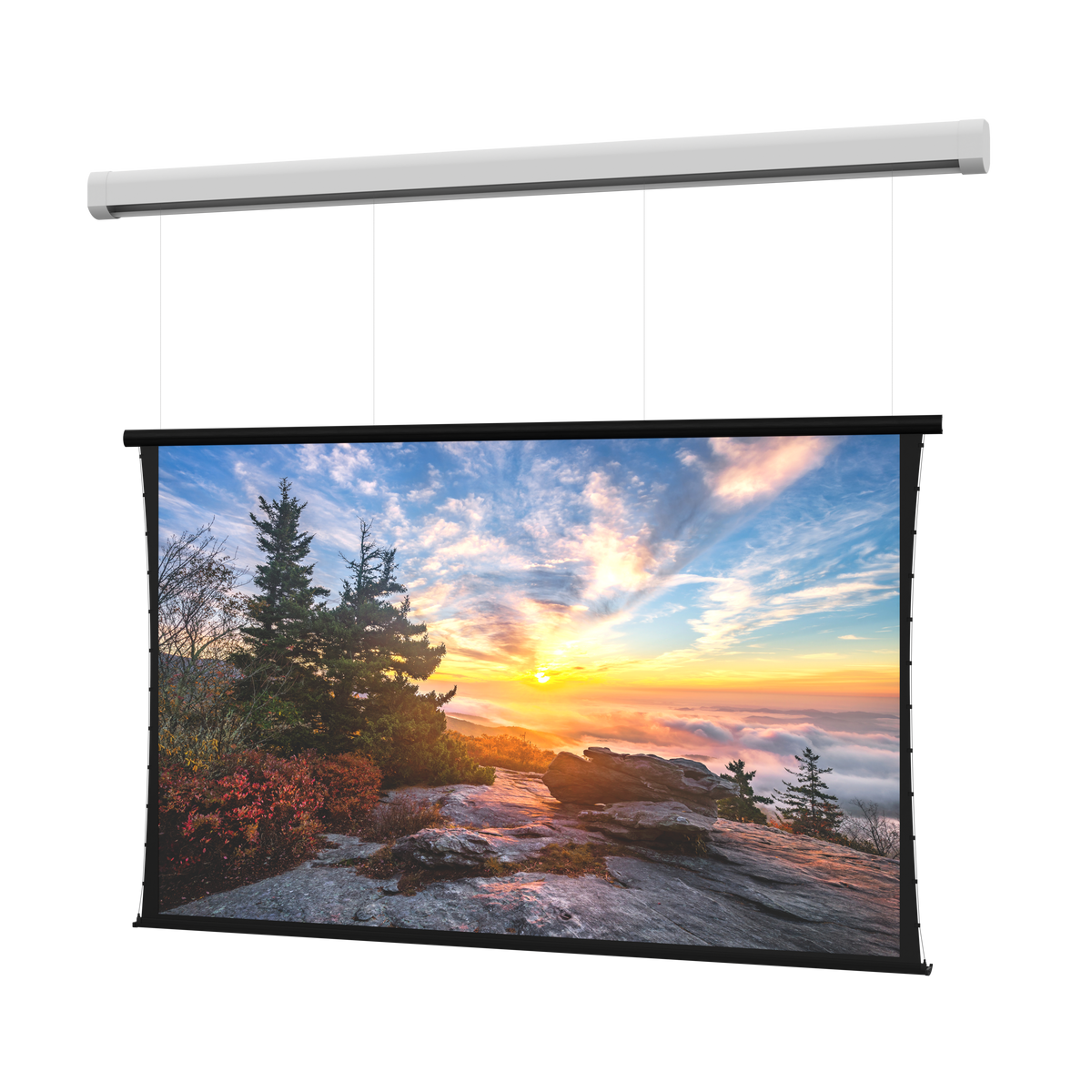 DaLite DL100162L Myriad Reveal Electric Screen