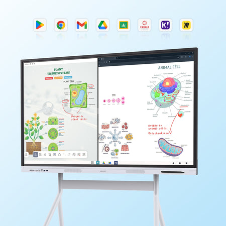 Nework NewBoard E-Series 4K Interactive Commercial Display