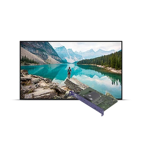 Sharp PN-M862-BS6 86" 4K UHD Public Display Monitor with BrightSign Built-In
